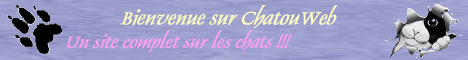 Chatou Web
