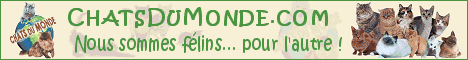 Chats du Monde