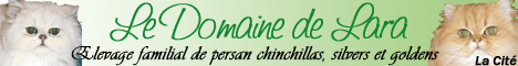 Le domaine de Lara