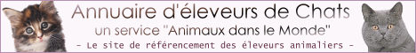 Chatteries dans le monde