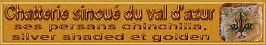 Chatterie du Sinou&eacute; du Val d'Asur
