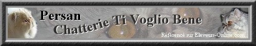 Ti Voglio Bene