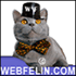webfelin